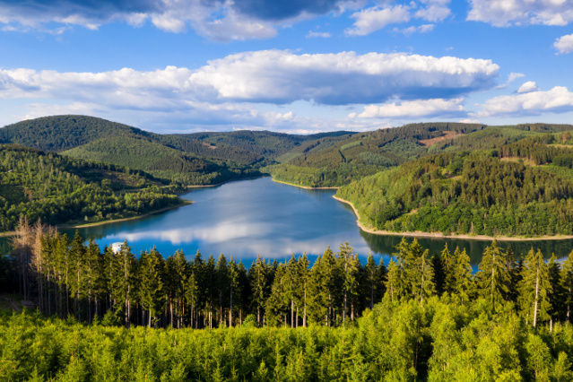 es ist der Obernau See und die bewaldete Landschaft darum abgebildet (Quelle: ©Tobias Arhelger - stock.adobe.com) es ist der Obernau See und die bewaldete Landschaft darum abgebildet