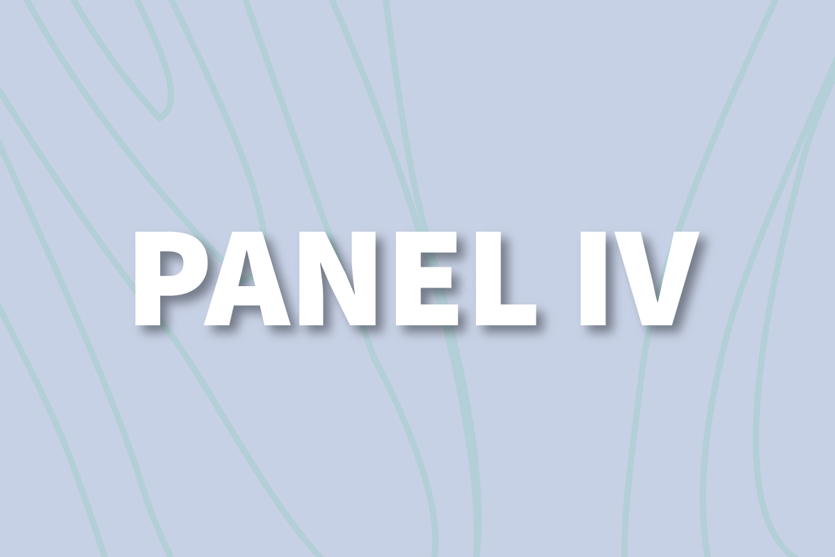 Panel IV (Source: BfDI/DH) Panel IV