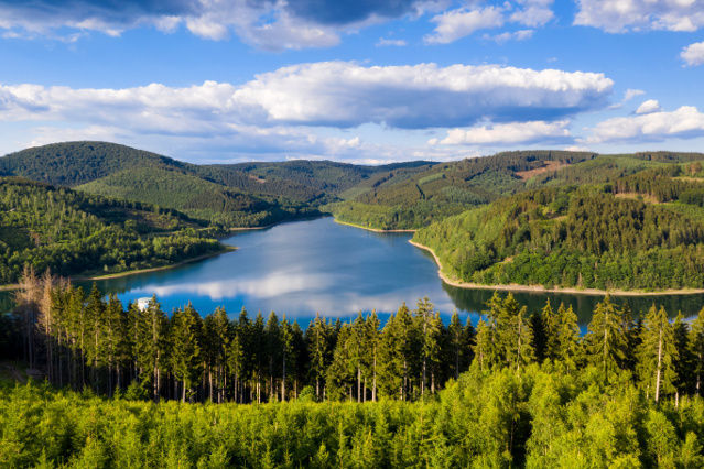 Lake Obernau and the wooded landscape around it